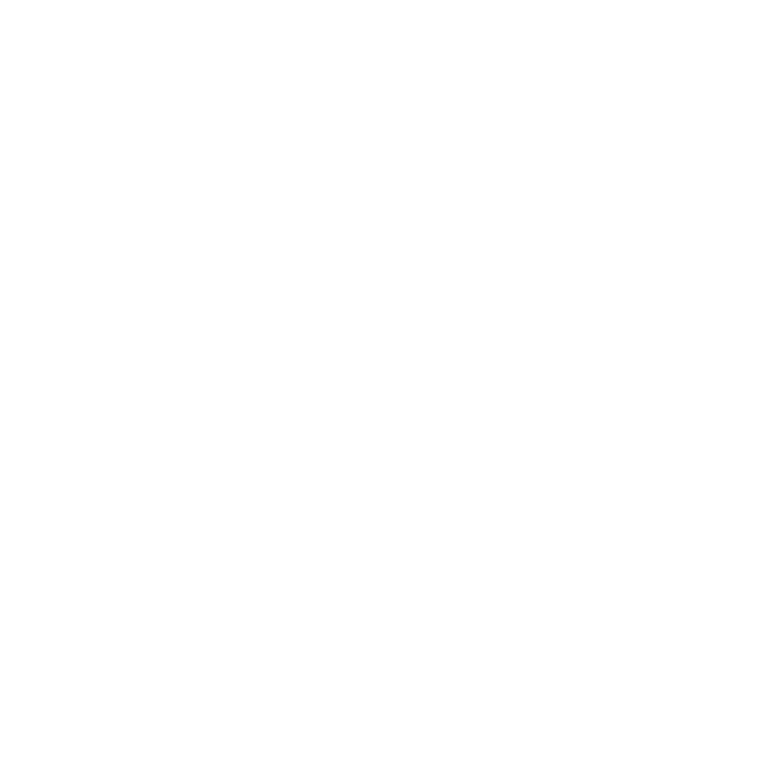 CV